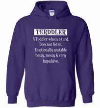 Terddler A Toddler Who Is A Turd Does Not Listen Hoodie